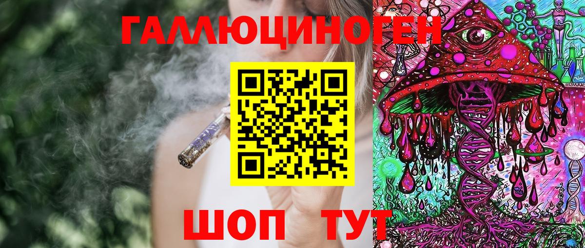 Галлюциногенные грибы Psilocybine cubensis  Вход с VPN  Биробиджан 