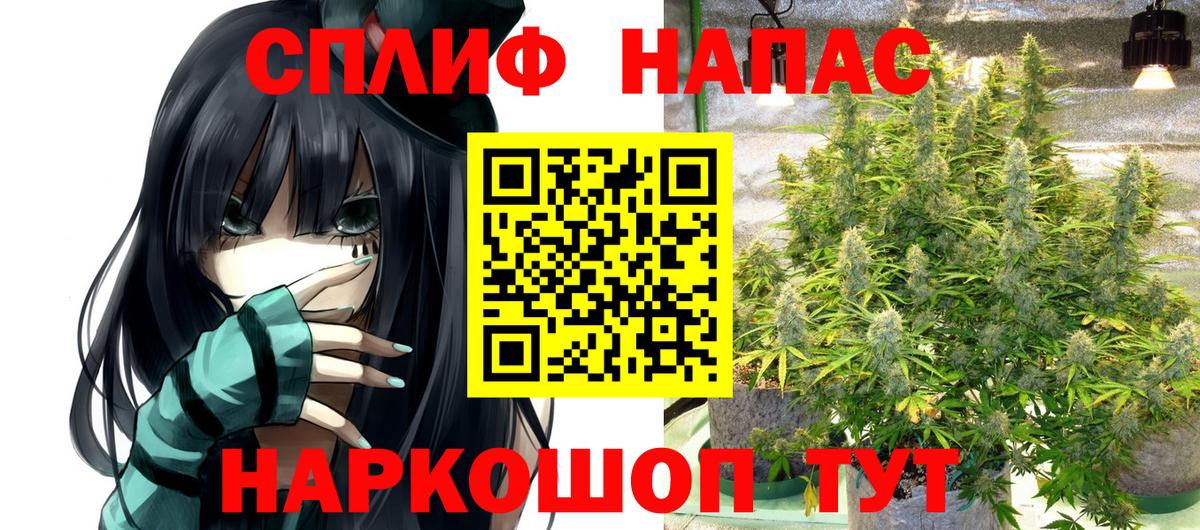Бошки Шишки MAZAR Биробиджан
